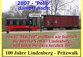 zu den offiziellen Seiten des Pollo