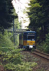 Hier wird deutlich, warum es eine "Waldbahn" ist.