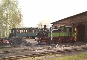 Der Auftritt der grünen Sächsin