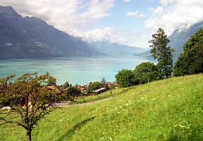 Oberhalb der Station Brienz, 1998