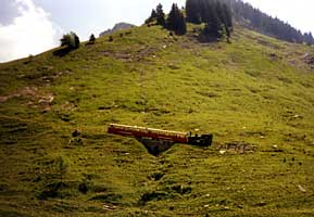 Den Wanderern zwischen Kulm und Planalp kommt ein Zug entgegen, 2003