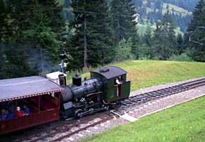Rigi-First, der Dampfzug auf Talfahrt