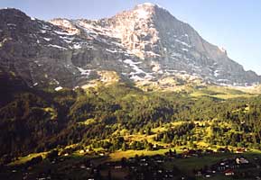 Dominanz über Grindelwald (2005)