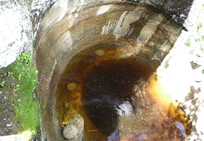Regenwasser hat sich gesammelt in einem der Kochtöpfe der Riesen