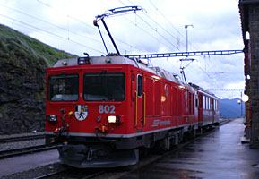 Das Murmeltier abends in Alp Grüm