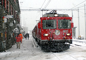 Murmeltier trifft Schneeflocken