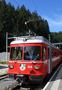 S-Bahn am Bahnsteig in Reichenau-Tamins